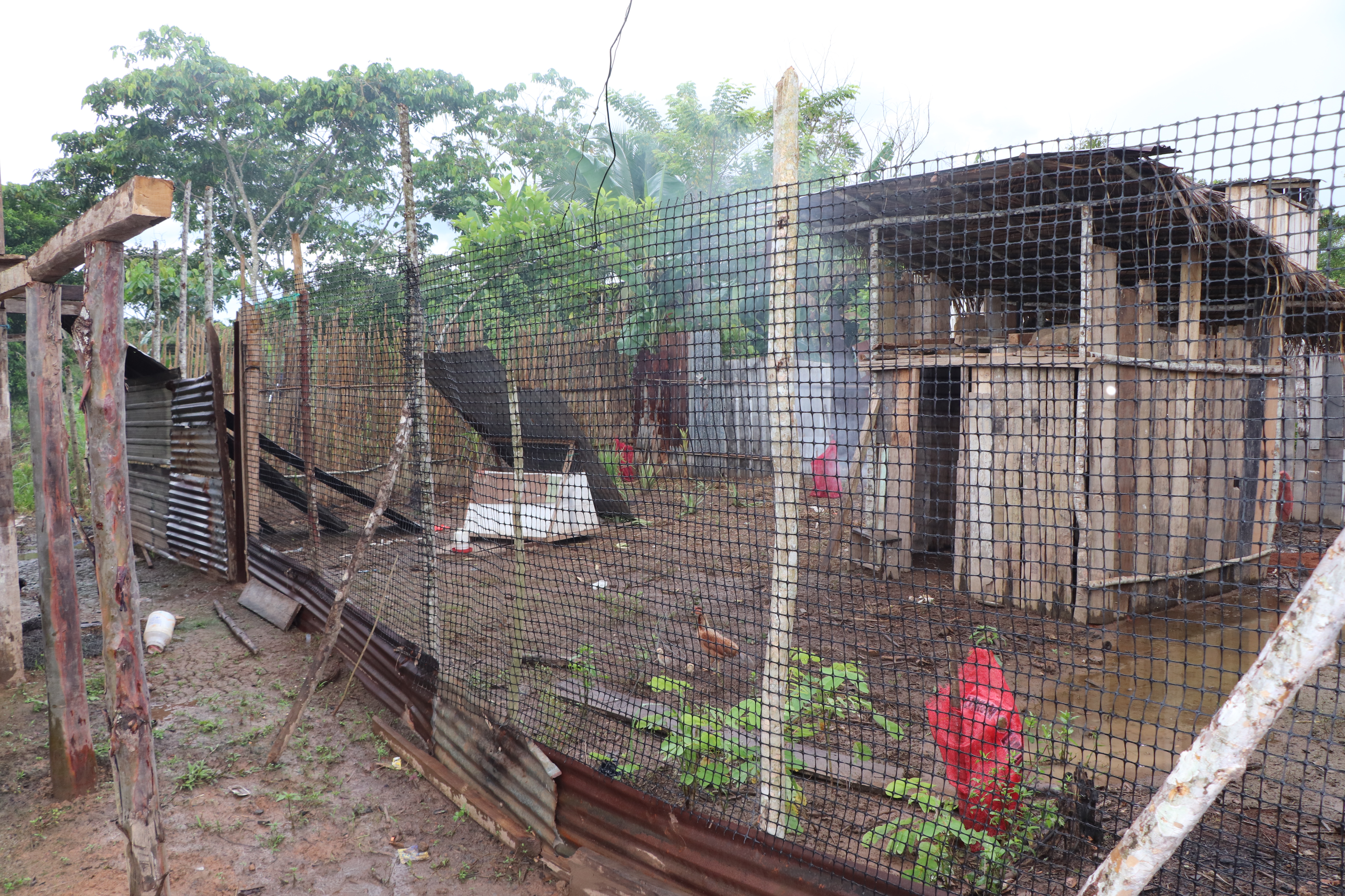 Alcaldía mantiene controles periódicos contra la invasión de bienes públicos y privados