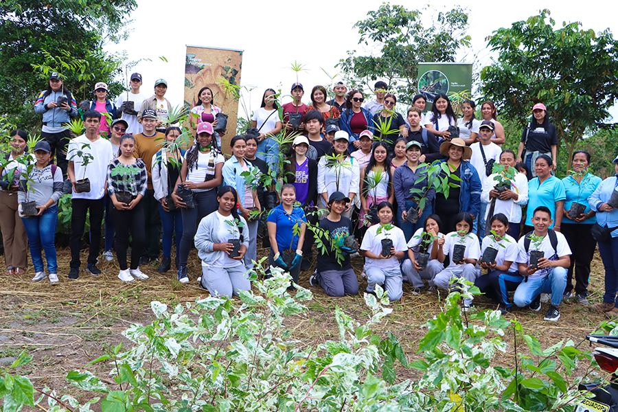 Alcaldesa participa en reforestación de zonas de alto riesgo del barrio Ñucanchi Wasi