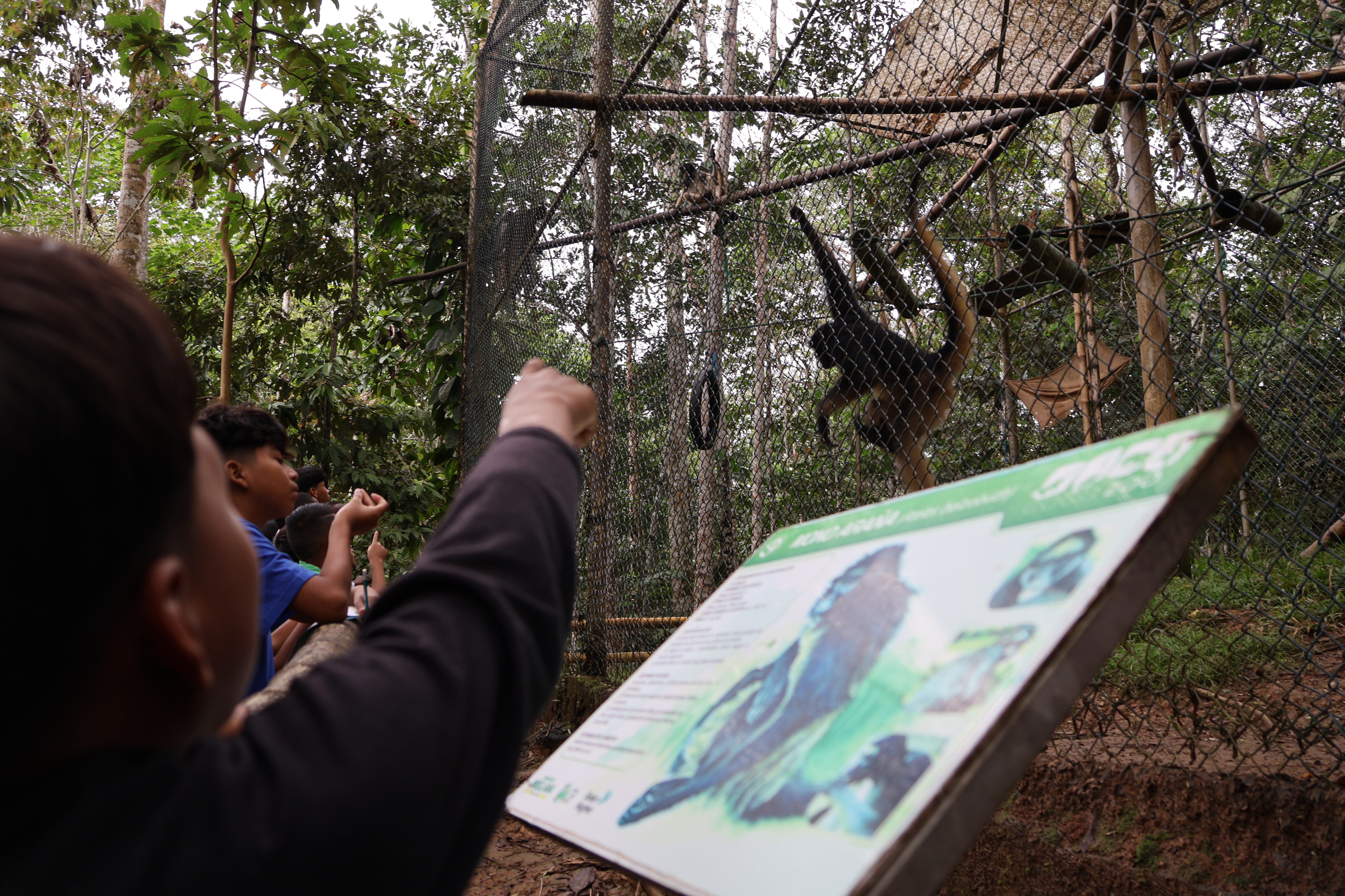 Del trabajo infantil al Cocazoo, ETI transforma vidas