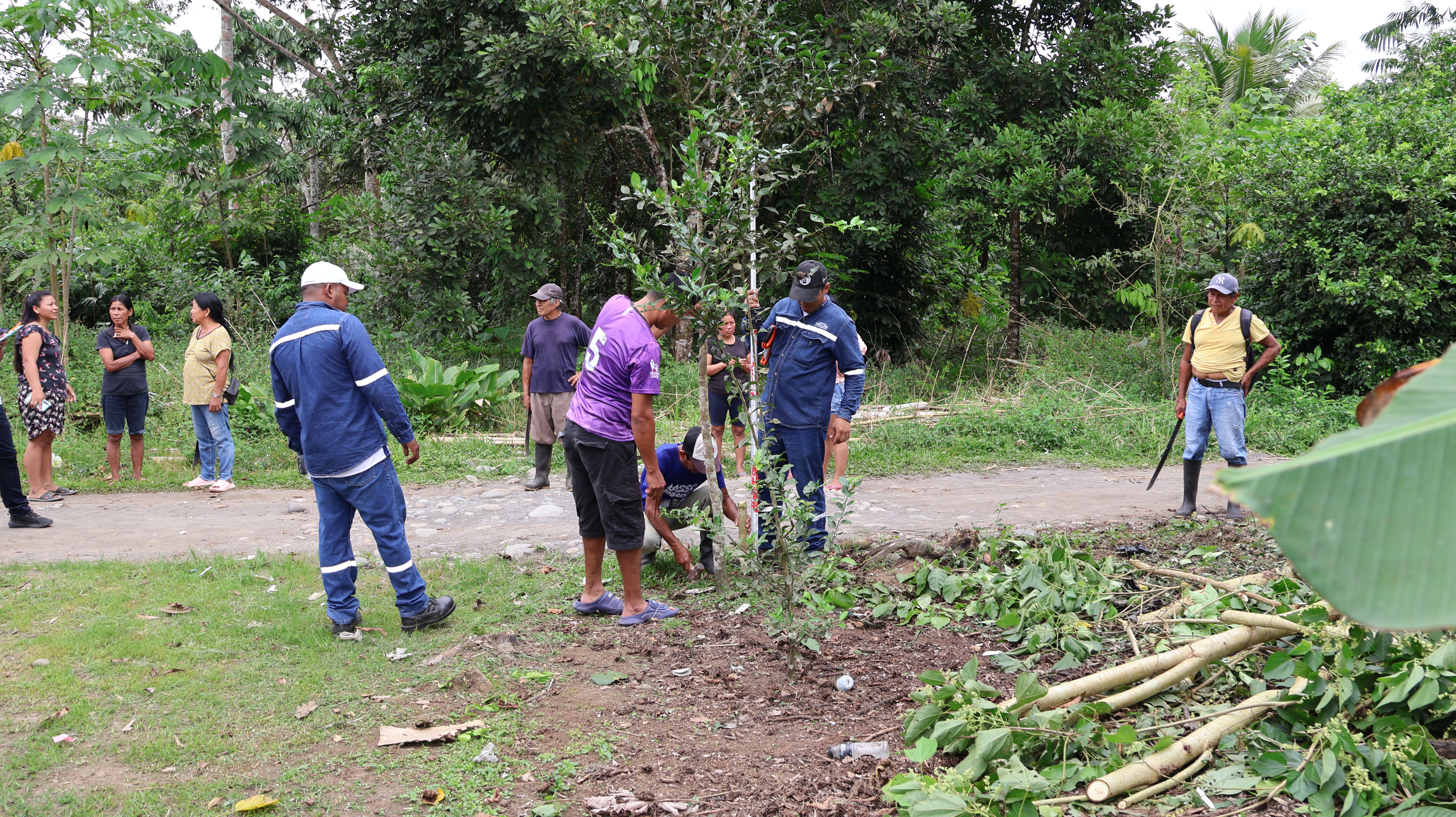 Ordenanza de Zonas Homogéneas 2026–2027: valoración justa de predios